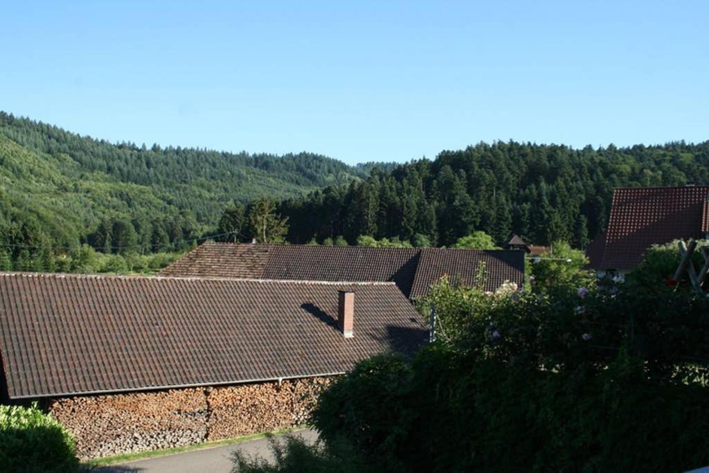 Ferienwohnung Hoehner Gengenbach Buitenkant foto